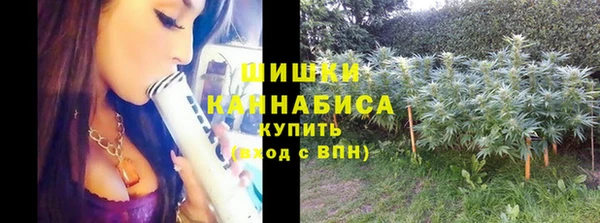 ПСИЛОЦИБИНОВЫЕ ГРИБЫ Алзамай