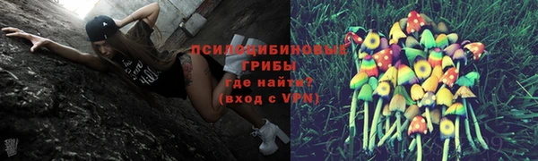 ПСИЛОЦИБИНОВЫЕ ГРИБЫ Алзамай